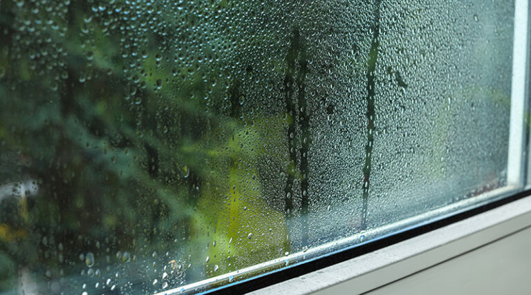 How to detect moisture problems in time
